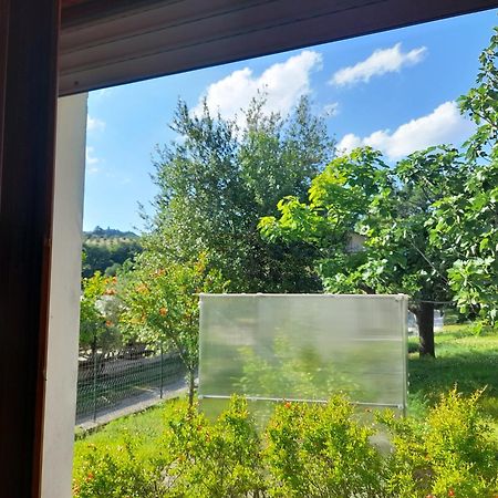 Camping Agriturist Sant'Anna Castelplanio Phòng bức ảnh