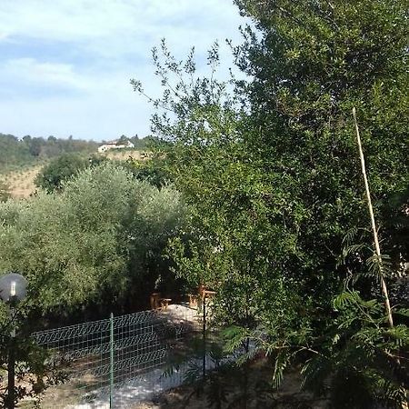 Camping Agriturist Sant'Anna Castelplanio Ngoại thất bức ảnh