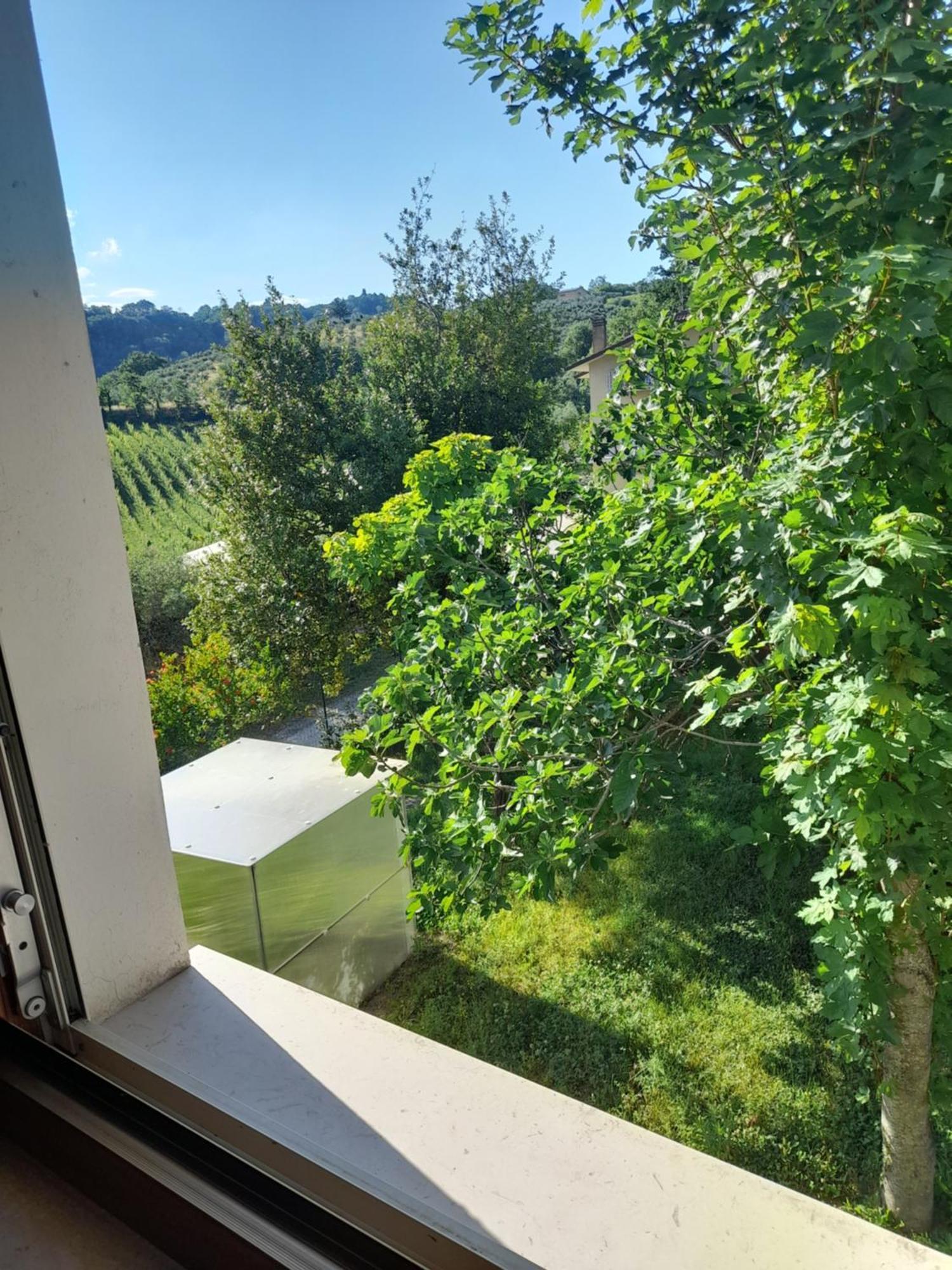 Camping Agriturist Sant'Anna Castelplanio Phòng bức ảnh
